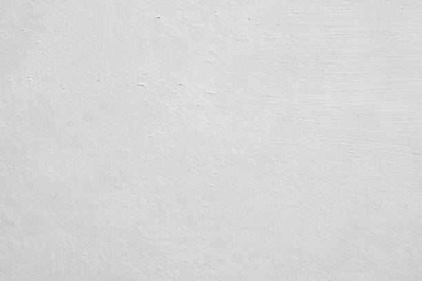 Best Basement Mold Removal  in Woodstock, AL