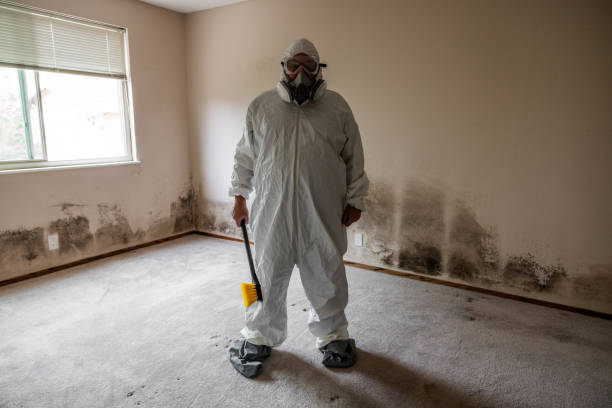 Best Airborne Mold Testing  in Woodstock, AL