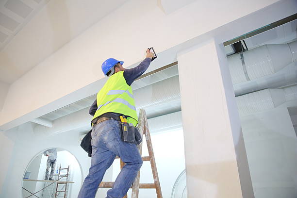Best Attic Mold Removal  in Woodstock, AL